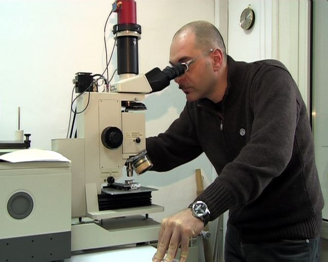 Brucato microscopio