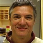 Enrico Cappellaro a Media INAF sulle supernovae di tipo 1a