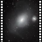 NGC 1316, il serial killer galattico