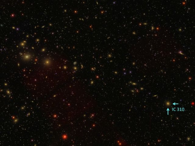 IMMAGINE: L'ammasso galattico del Perseo e IC 310