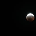 eclissi lunare parziale 16/08/08 (di Maria Teresa Iacolare)