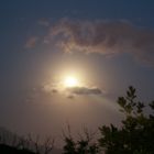 alba dell'eclisse (di walter)