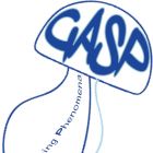 Logo del progetto GASP
