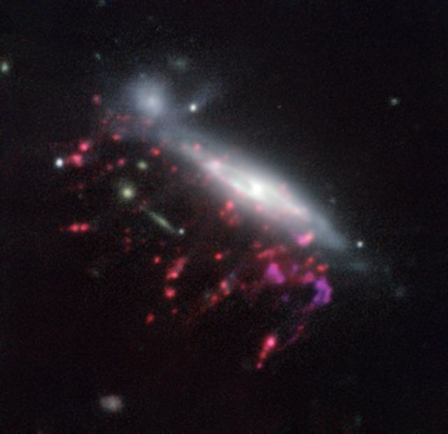 Galassia medusa JO204
