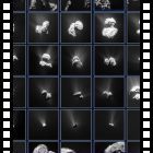 210 comete per Rosetta