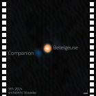 Ecco l'elusiva compagna di Betelgeuse