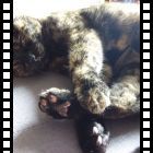 Che Sole che fa ottobre 2025